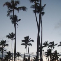 Foto de Punta Cana