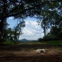 Foto de Salto Suizo (Colonia Independencia)