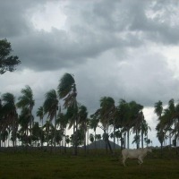 Foto de Salto Suizo (Colonia Independencia)