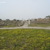 Foto de Salamina (Salamis)