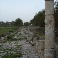 Foto de Salamina (Salamis)