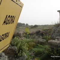 Foto de Salamina (Salamis)