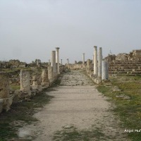 Foto de Salamina (Salamis)