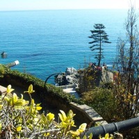 Foto de Viña del Mar