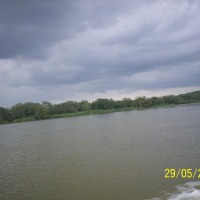 Foto de Río San Juan (San Carlos)