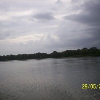 Foto de Río San Juan (San Carlos)