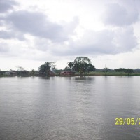 Foto de Río San Juan (San Carlos)