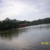 Foto de Sábalos (Rio San Juan)