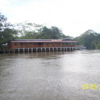 Foto de Sábalos (Rio San Juan)