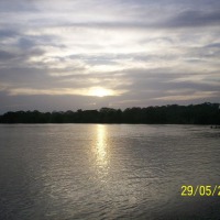 Foto de Sábalos (Rios San Juan)