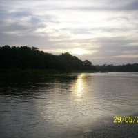 Foto de Sábalos (Rios San Juan)