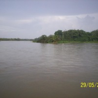 Foto de Sábalos (Rios San Juan)