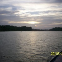 Foto de Sábalos (Rios San Juan)