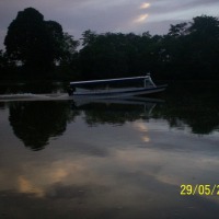 Foto de Sábalos (Rios San Juan)