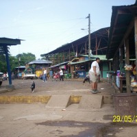 Foto de Sábalos (Rios San Juan)