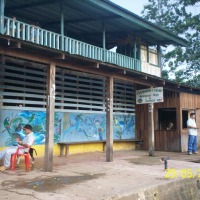Foto de Sábalos (Rios San Juan)