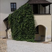 Foto de Jindrichuv Hradec