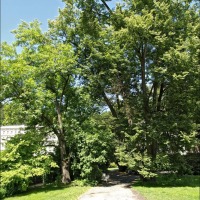 Foto de Karlovy Vary