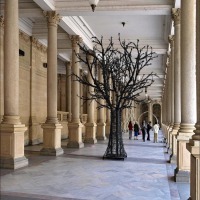Foto de Karlovy Vary