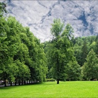 Foto de Karlovy Vary