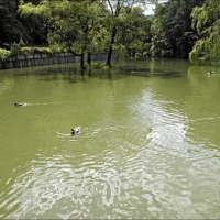 Foto de Karlovy Vary
