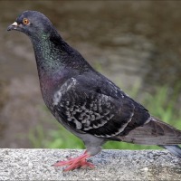 Foto de Karlovy Vary