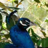 Foto de Mayaguez