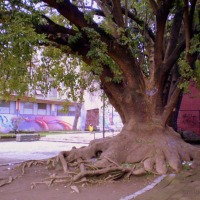 Foto de Linares