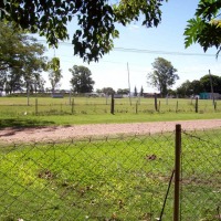 Foto de Belén (Salto)