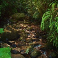Foto de Luiquillo