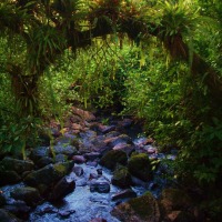Foto de Luquillo