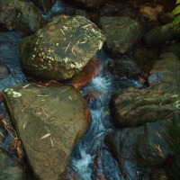 Foto de Luquillo