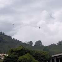 Foto de Jerico