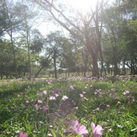 Foto de San José