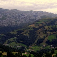 Foto de Alisas