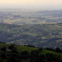 Foto de Alisas