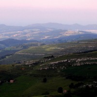 Foto de Alisas
