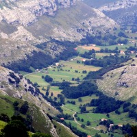 Foto de Alisas