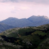 Foto de Alisas