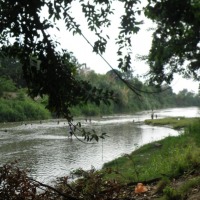 Foto de Rio Boliche