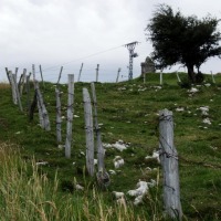 Foto de Alisas