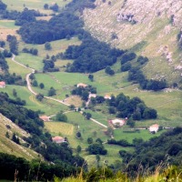 Foto de Alisas