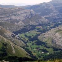 Foto de Alisas