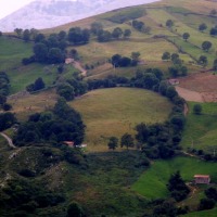 Foto de Alisas