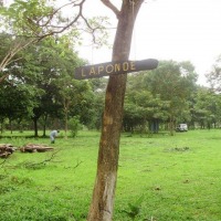 Foto de Guanacaste