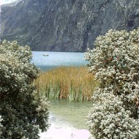 Foto de Huaraz (Laguna de LLanganuco)