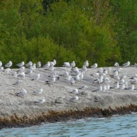 Foto de Port Stanley