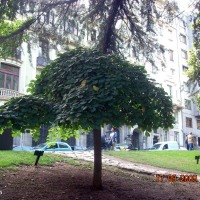 Foto de Oviedo