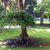 Foto de Oviedo