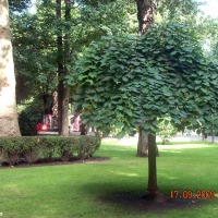 Foto de Oviedo